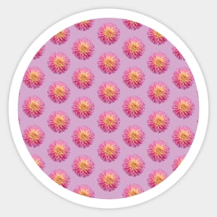 Pink Dahlia Floral Pattern Sticker